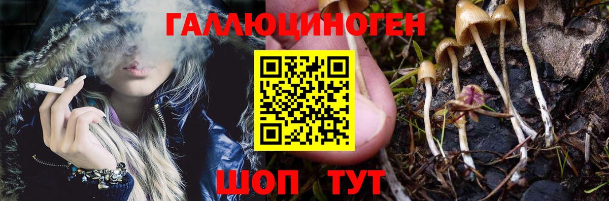 Галлюциногенные грибы мицелий  купить   Балтийск  Галлюциногенные грибы GOLDEN TEACHER  Вход с VPN 